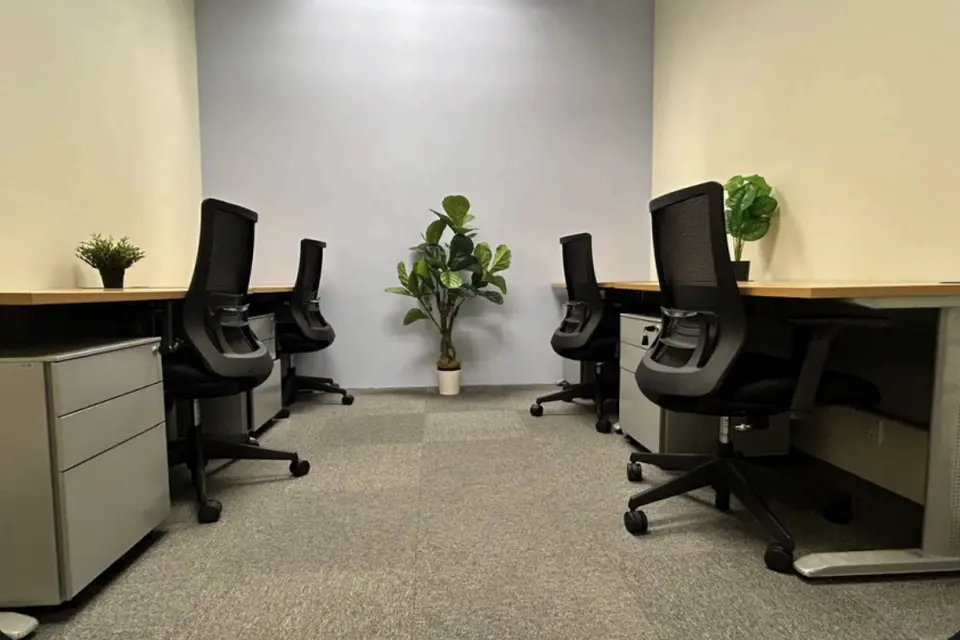 5 pax Day Office